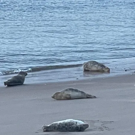 Appartement Sea,sun And Fun