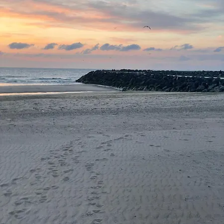 Sea,sun And Fun Vernieuwd Modern Op Toplocatie 50 M Visserkaai Lägenhet Oostende