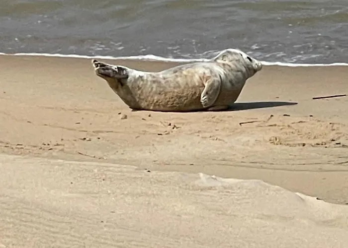 Sea,sun And Fun * Остенде